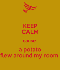 Vine sticker a potato flew around the room before you | etsy. A Potato Flew Around My Room Know Your Meme