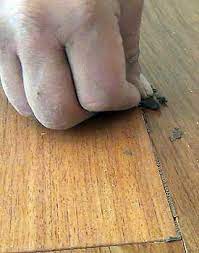 hardwood flooring filler prefinished