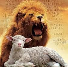 Image result for lions and lambs