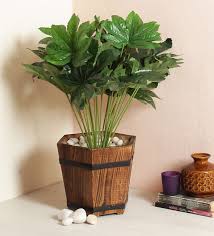 beautiful artificial money plant