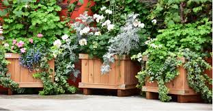 best wooden planters including troughs