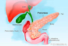 Left side abdominal pain is defined as any annoying or unpleasant sensation occurring in the abdomen to the left. Pancreas Picture Image On Medicinenet Com