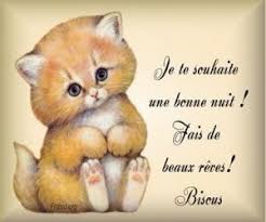 Résultat de recherche d'images pour "bonne soirée chat"