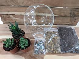 7 Glass Terrarium On Stand Craft Kit