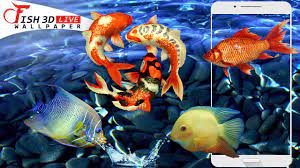 Fish 3D Live Wallpaper : Koi 3D Fish ...