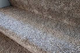 matted carpet rtate extraant arbitru