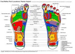 Reflexology Foot Chart Reflexology Charts Foot And Hand