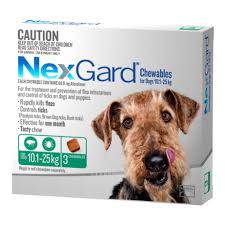 Nexgard Flea And Tick Treatment For Medium Dogs 10 1kg 25kg