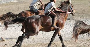 Génétique et courses de chevaux
