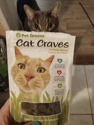 If you're already feeding your the top 10 best cat foods for sensitive stomach and diarrhea. 21 Of The Best Cat Treats You Can Get On Amazon