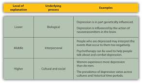 Essay Writing   University of Manitoba  case study on depression     