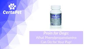 Proin For Dogs What Phenylpropanolamine Can Do For Your Pup