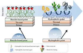 Development Of Eco Friendly Hydrophobic