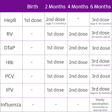 Essential Vaccination Chart For 0 6 Month Babies Or Newborn