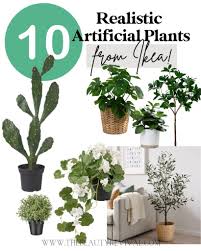 10 artificial plants that look real