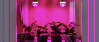For Plants Artificial Plant Lighting
