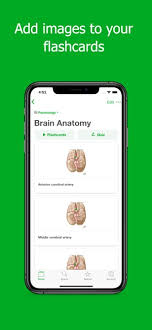 flashcards maker flash cards on the app