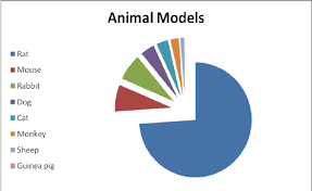 Pie Chart Illustrating The Types Of Animal Model Used In In