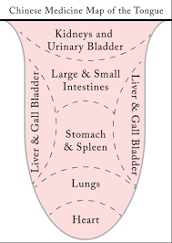 What Your Tongue Tells Us Selby Acupuncture