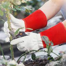 Long Leather Gardening Gloves Thorn