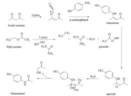 Proposed Reaction Mechanism For The