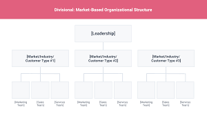 9 types of organizational structure
