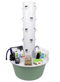 Maybe you would like to learn more about one of these? Tower Garden Juice Plus Review For 2021 Gardening With Confidence