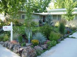 Xeriscape And Sustainable Gardening