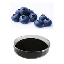 Image result for blueberry extract