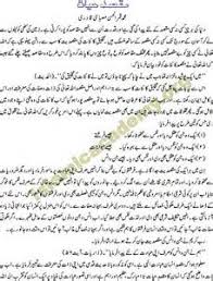 The Taste of Words   Raza Mir   Urdu   Poetry 