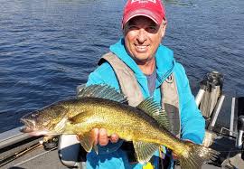 Artificial Vs Live Bait For Walleye