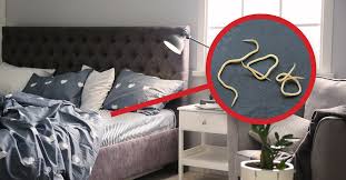 what causes bed worms dodson pest