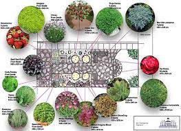 Diploma In Professional Garden Design