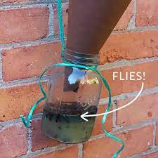 the best homemade fly trap for outdoor