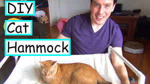diy cat hammock no sew easy