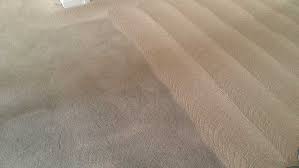 premium carpet and rug cleaning
