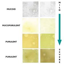 About Sputum My Lungs My Life