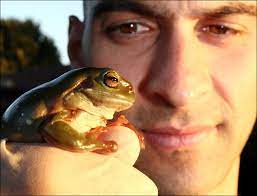 Frogs are fascinating amphibians and catching them can be tons of fun! How To Catch And Hold A Frog Save The Frogs
