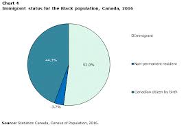 Diversity Of The Black Population In Canada An Overview