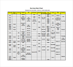 Powder Burn Rate Chart Excel Www Bedowntowndaytona Com