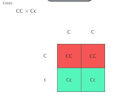red green colorblindness is an x linked