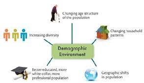 demographic environment meaning
