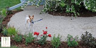 Making Your Lawn And Garden Safe For Dogs