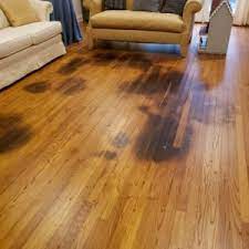 refinishing hardwood floors with pet