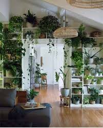 30 small living room with plant ideas