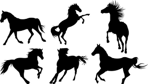 horse clip art images browse 48 489