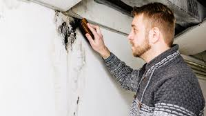 How To Remove Mold From Basement Wall
