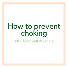 How To Prevent Choking With Blw Veggies Virtue
