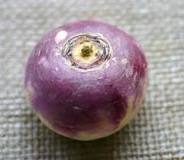 What  root  vegetable  is  purple  and  white?