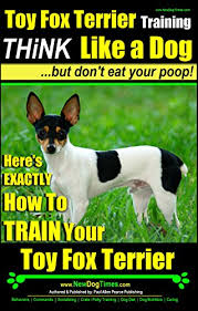 Toy fox terriers will live with anyone and be ecstatic about it. Toy Fox Terrier Training Think Like A Dog But Don T Eat Your Poop Here S Exactly How To Train Your Toy Fox Terrier Kindle Edition By Pearce Paul Allen Pearce